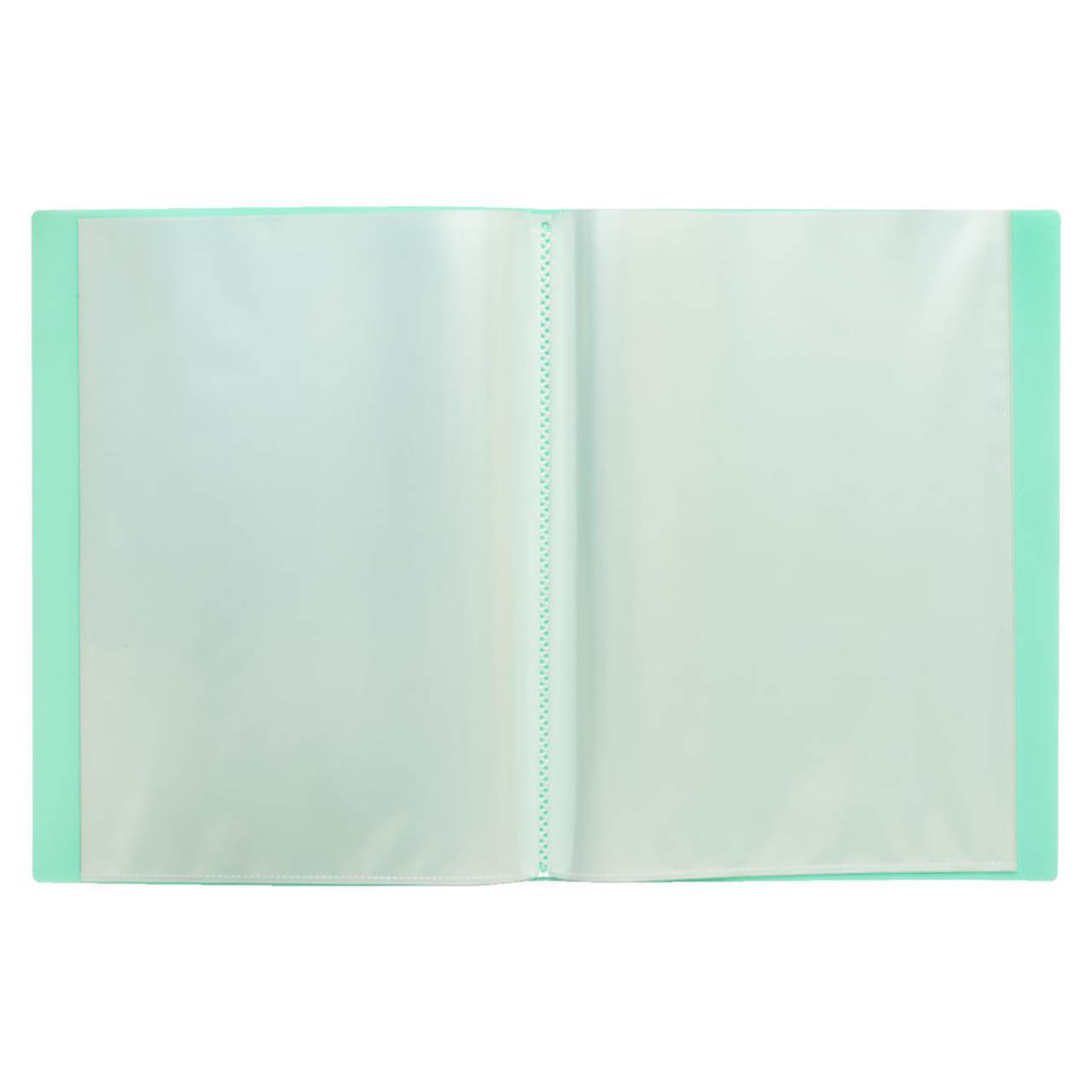COLOURHIDE Fixed Display Book A4 20 Sheets Green | Each